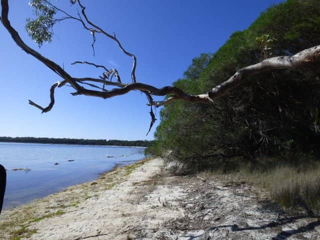 Wallagoot Lake Views
