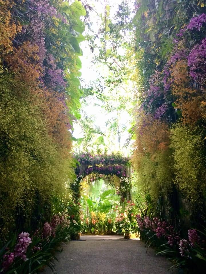 Seasonal Flower Displays