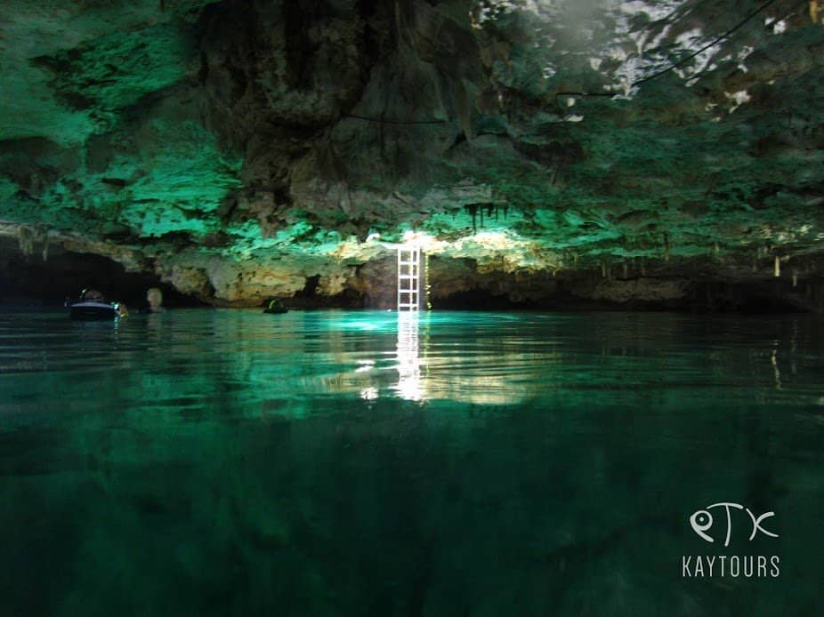 The Main Cenote's Aquatic Life