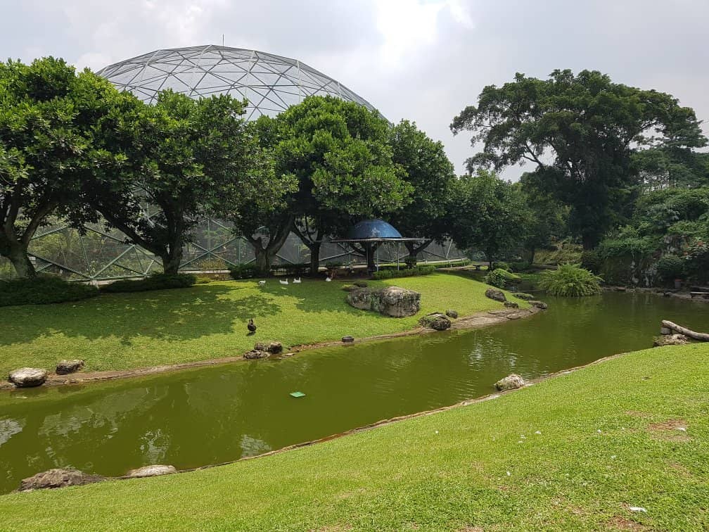 Free-Flight Aviary Experience