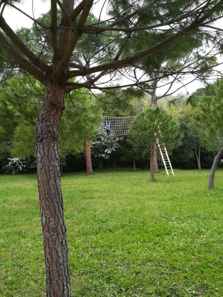 Unique Plant Collection