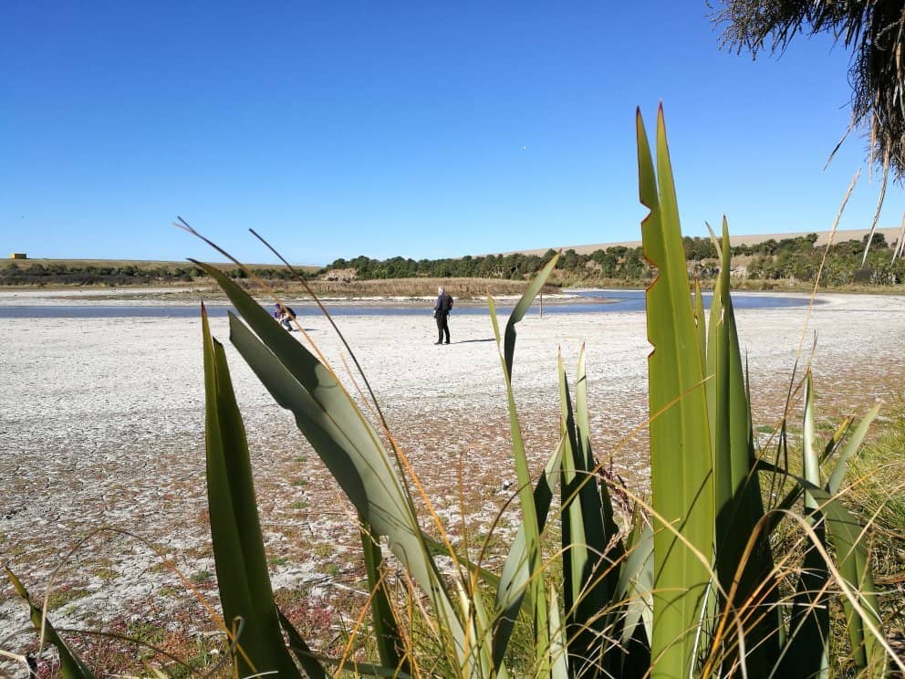 South Beach Serenity