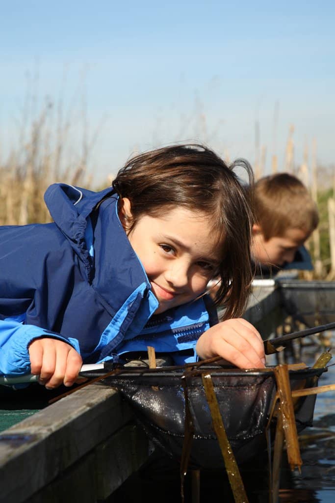 Blackbird Encounters