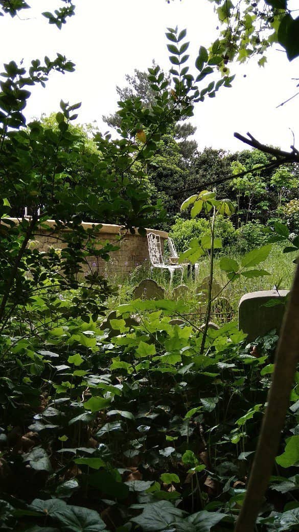 David Bowie's Grandmother's Grave