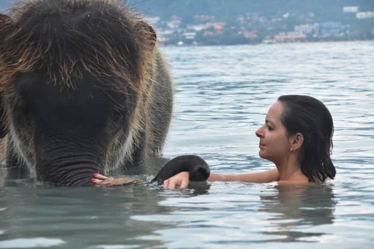 Tranquil Sandy Shores