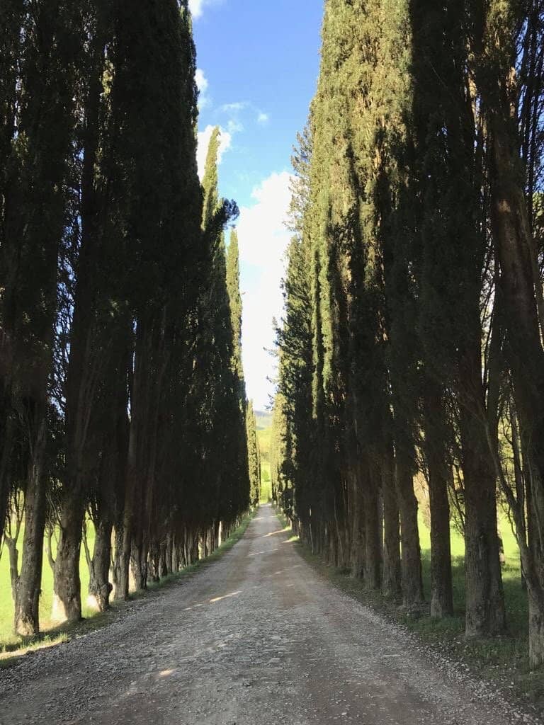 Historic Estate & Cypress Avenue