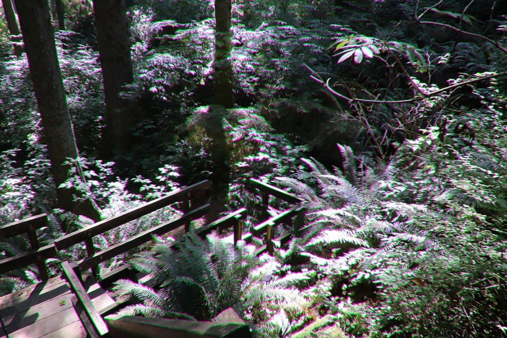 Vertical photo