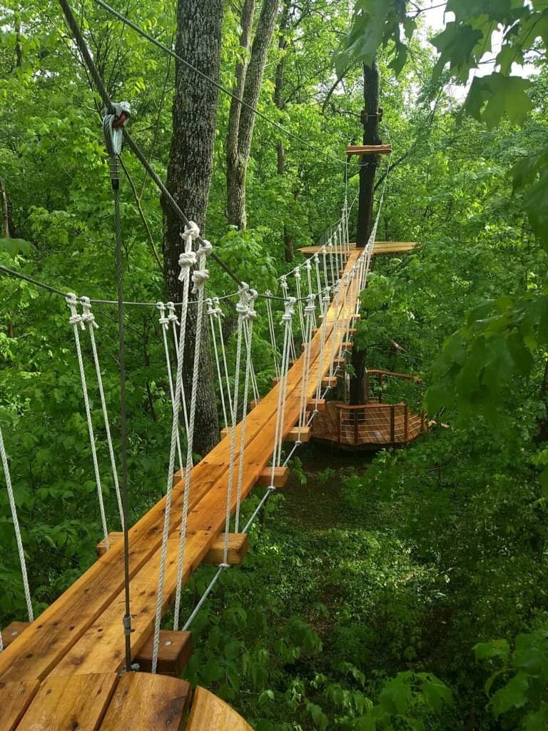 Knowledgeable and Fun Guides