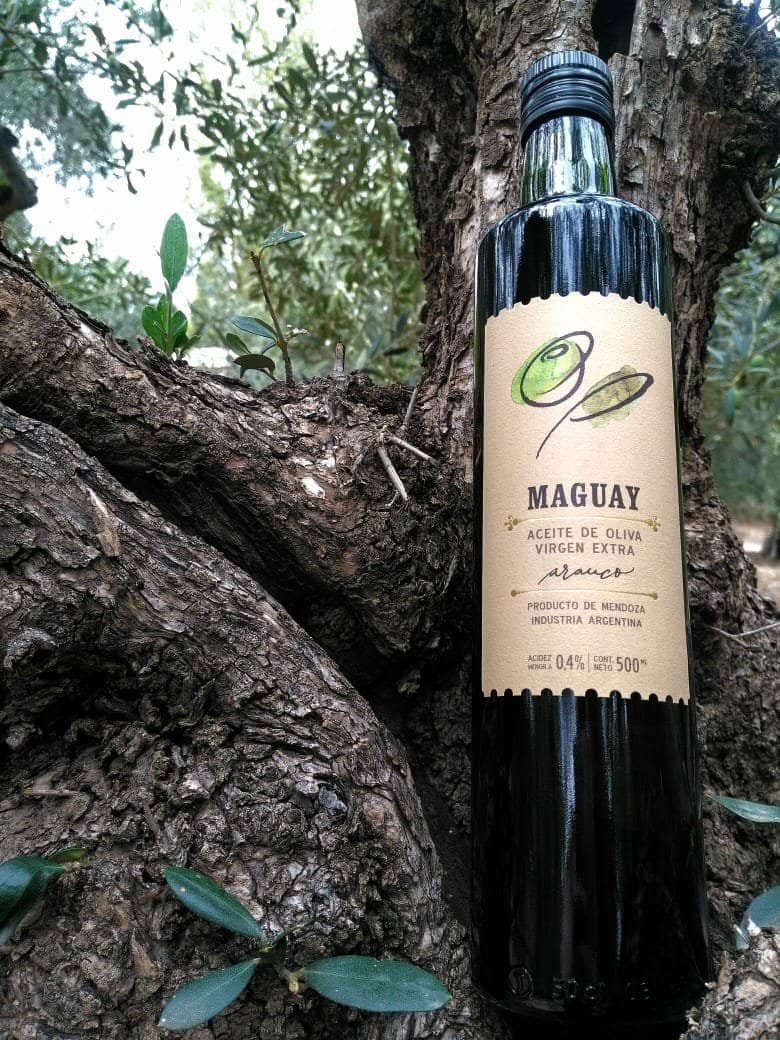 Olive Grove Exploration