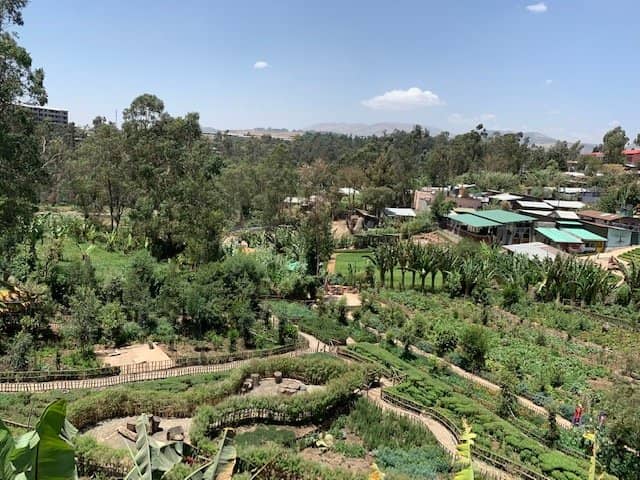 Edible & Lush Gardens