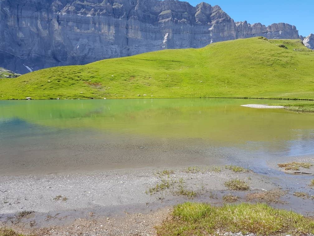 Abundant Wildlife Encounters