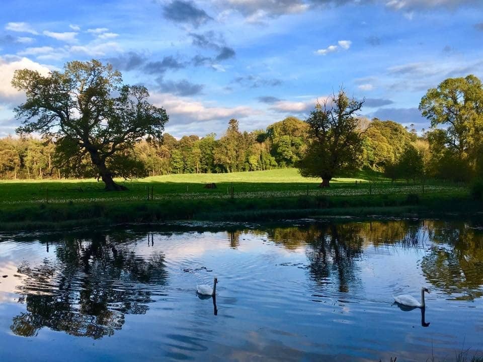 The Charming Tea Room