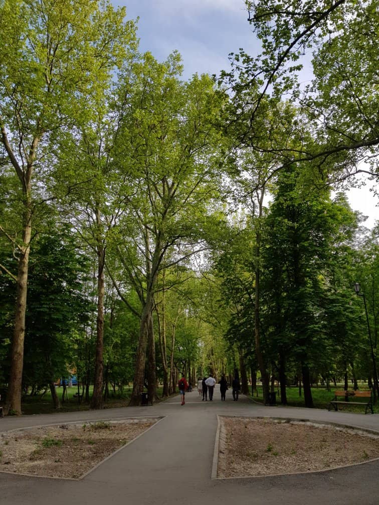 Children's Play Areas