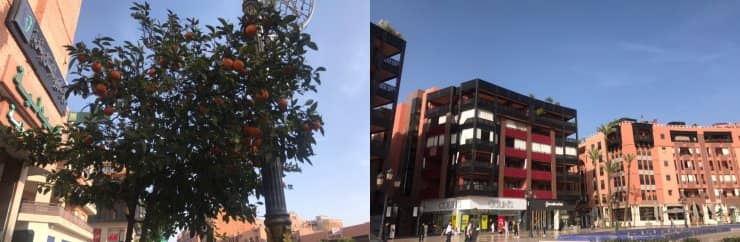 Gueliz Shopping & Dining