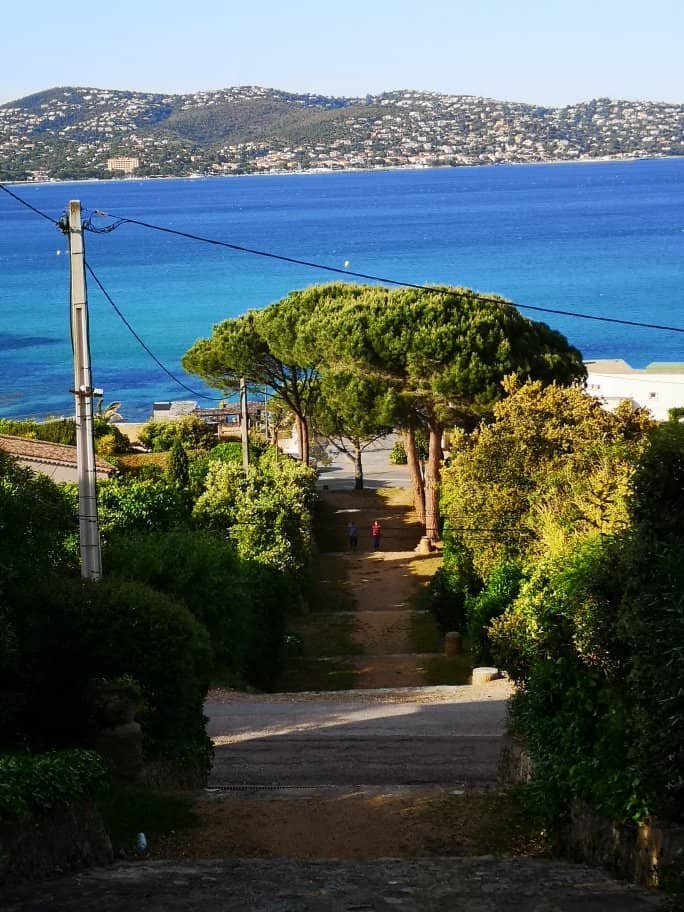 Serene Sunrise Views