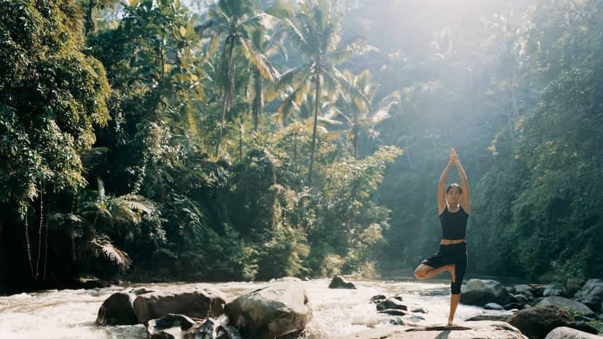 Peaceful Rice Field Setting