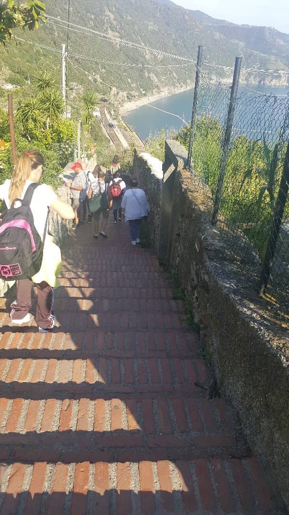 Panoramic Terrace Views