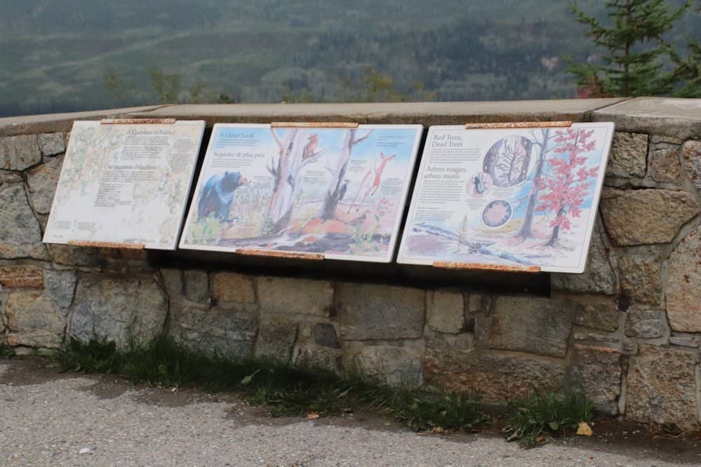 Accessible Scenic Path