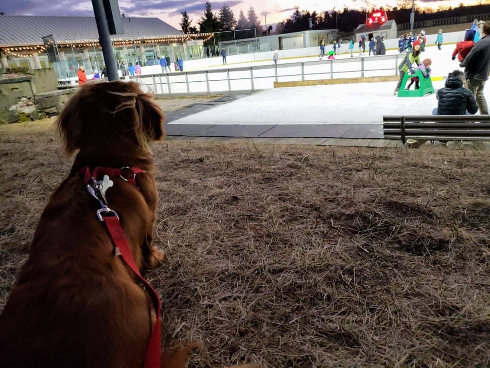 Playground & Open Fields