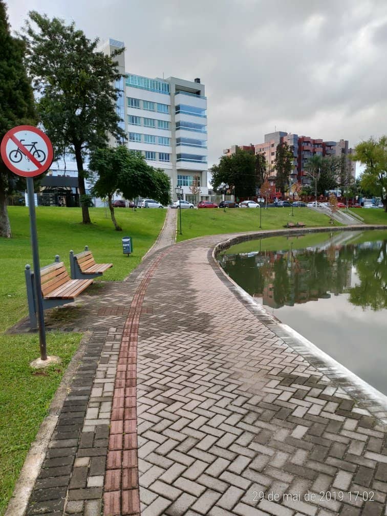 Fun Paddle Boat Rides