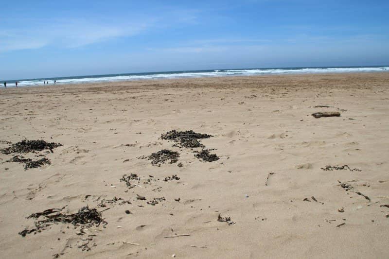 South West Coast Path