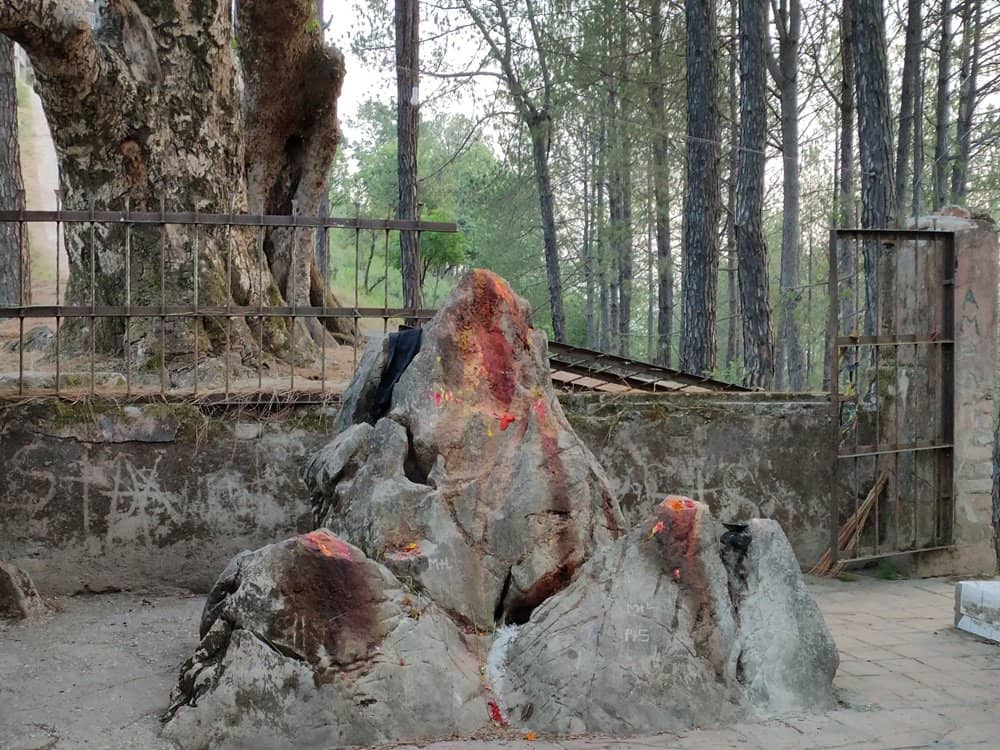 Statue of Swasthani Mata