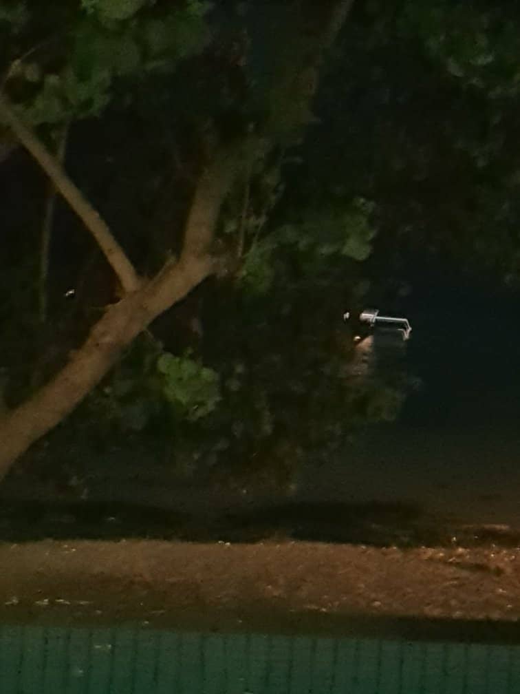 Family-Friendly Vibes