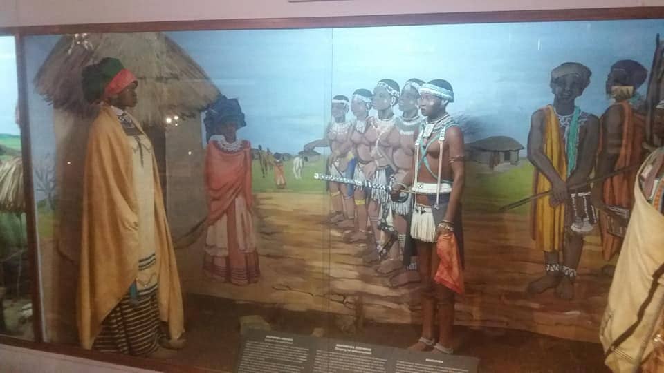 Butterflies and Moths