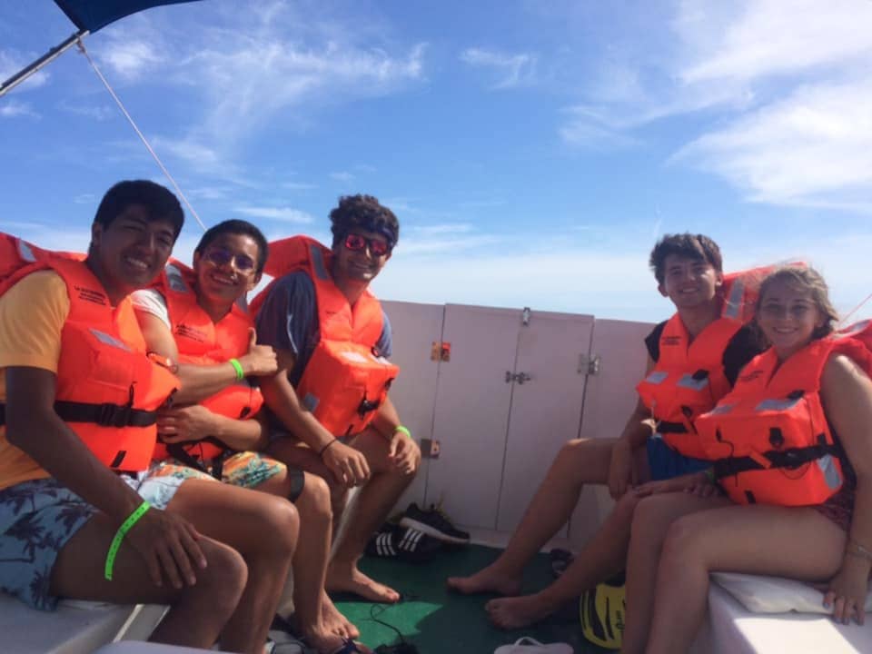 Dolphin and Turtle Sightings