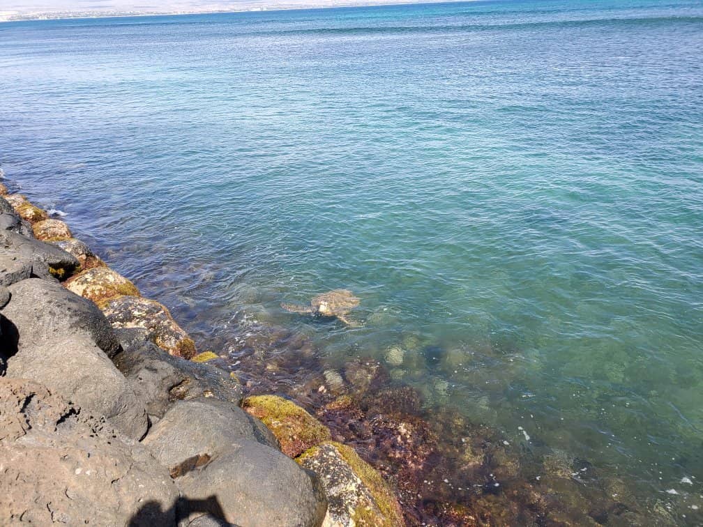 Sunset Dinner Cruises