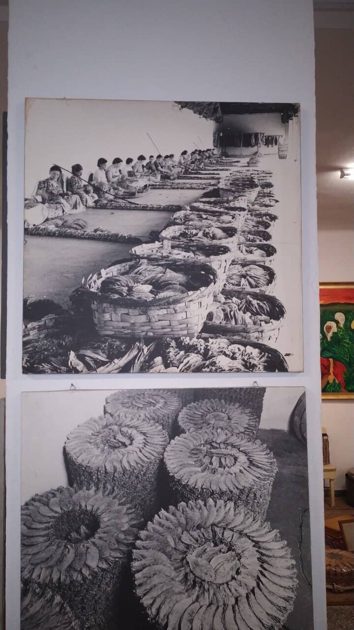 Historical Narratives