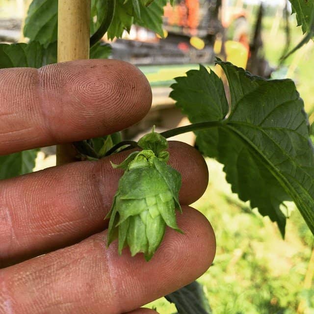 Family-Friendly Amenities