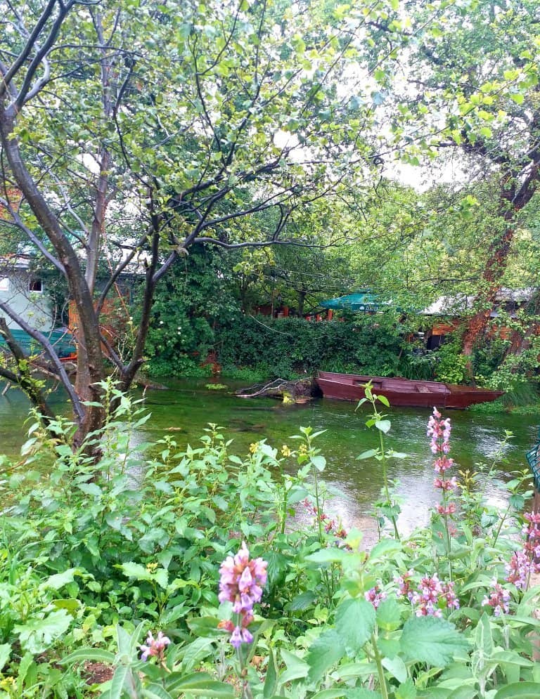 Wildflower Spectacle