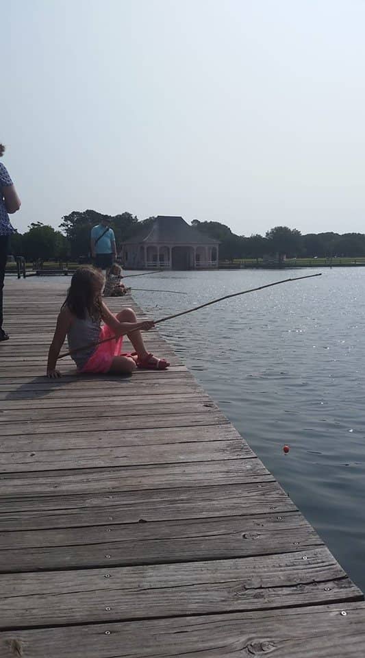 Audubon Illustrations