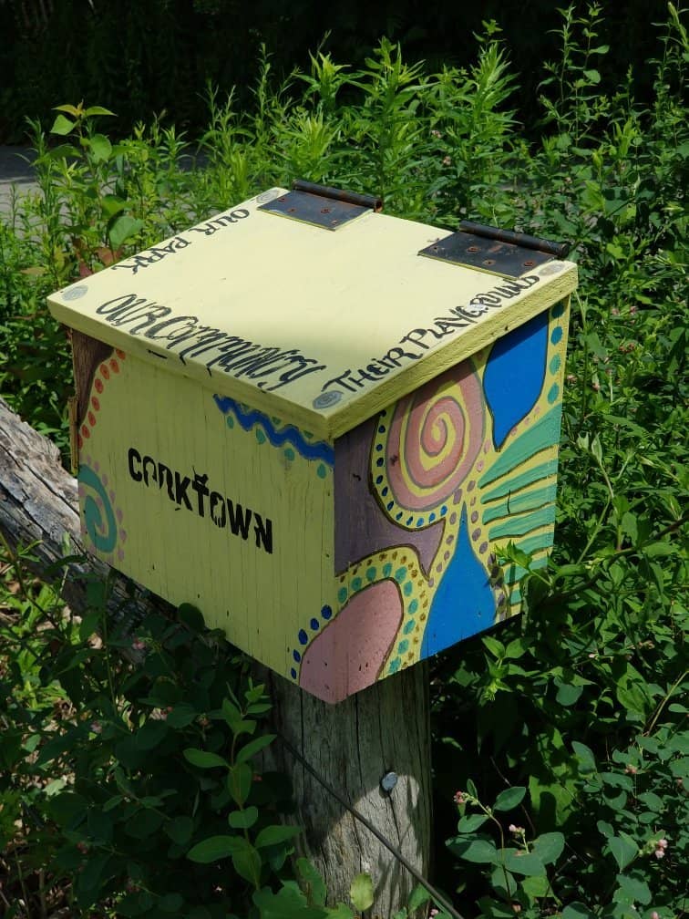 Tranquil Walking Paths