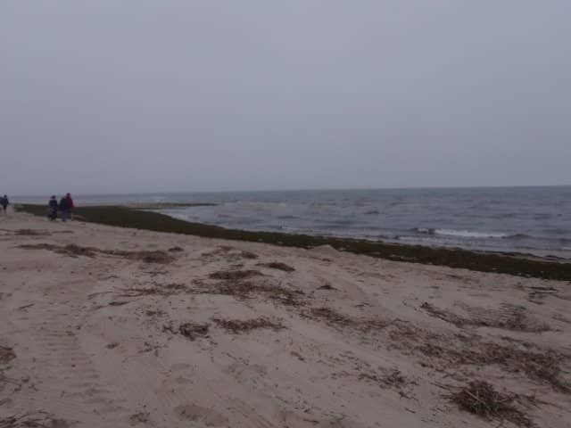 Ridgevale Beach Snack Bar