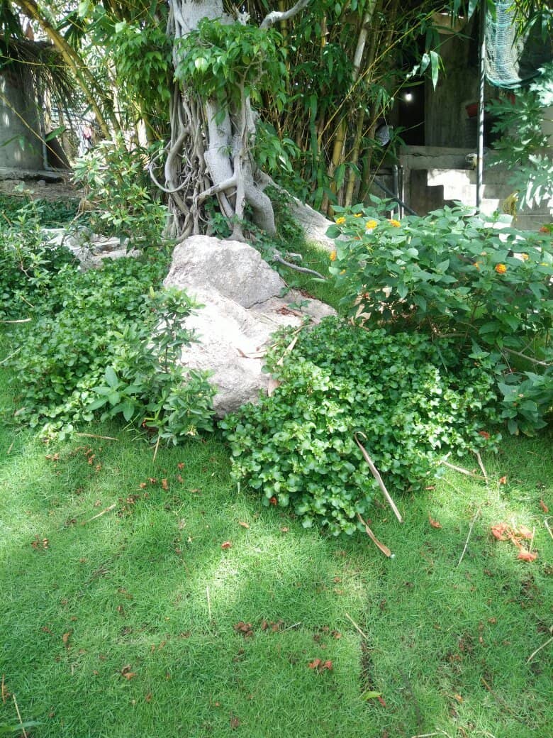 Interactive Encounters