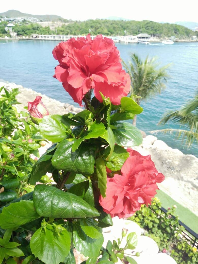 The Ship-Shaped Exterior