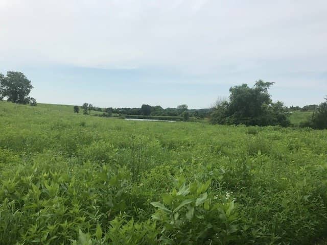 Fishing Opportunities