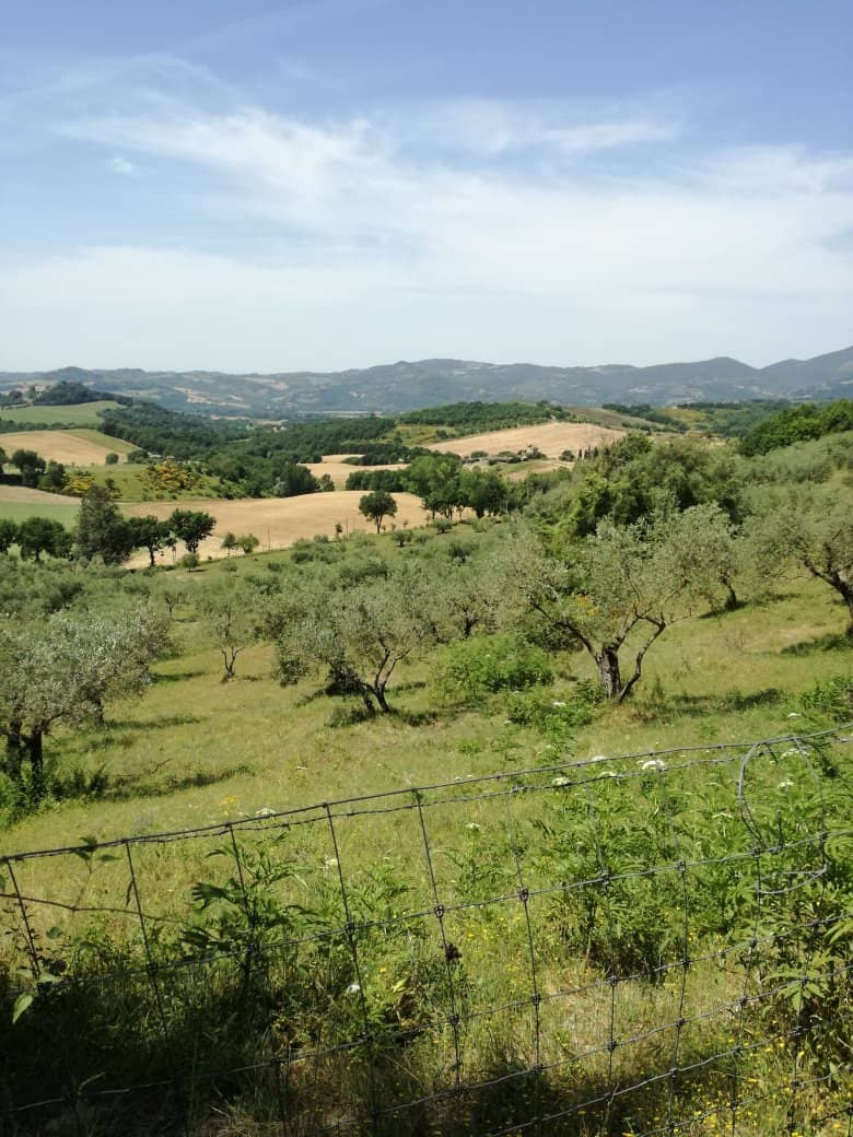 Surrounding Countryside