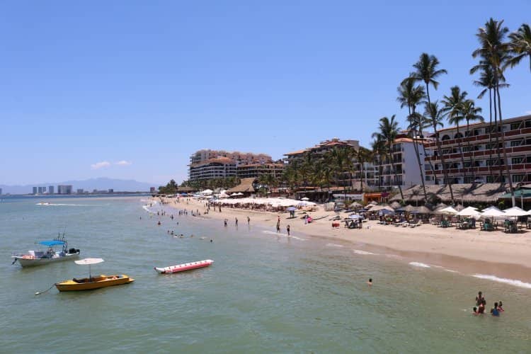 Olas Altas Farmer's Market