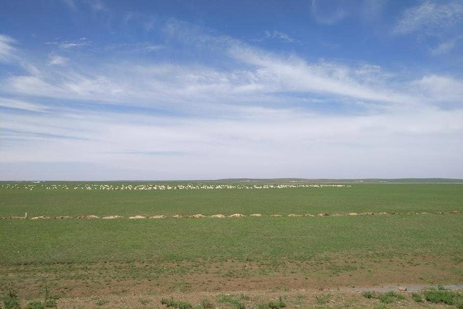 Horseback Riding Adventures