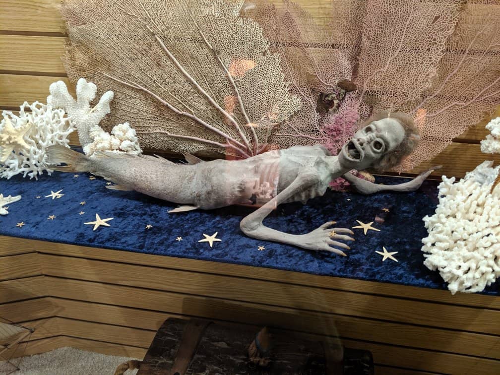 Diver's Recovery Stories