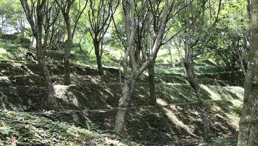 Emergency Evacuation Tunnel