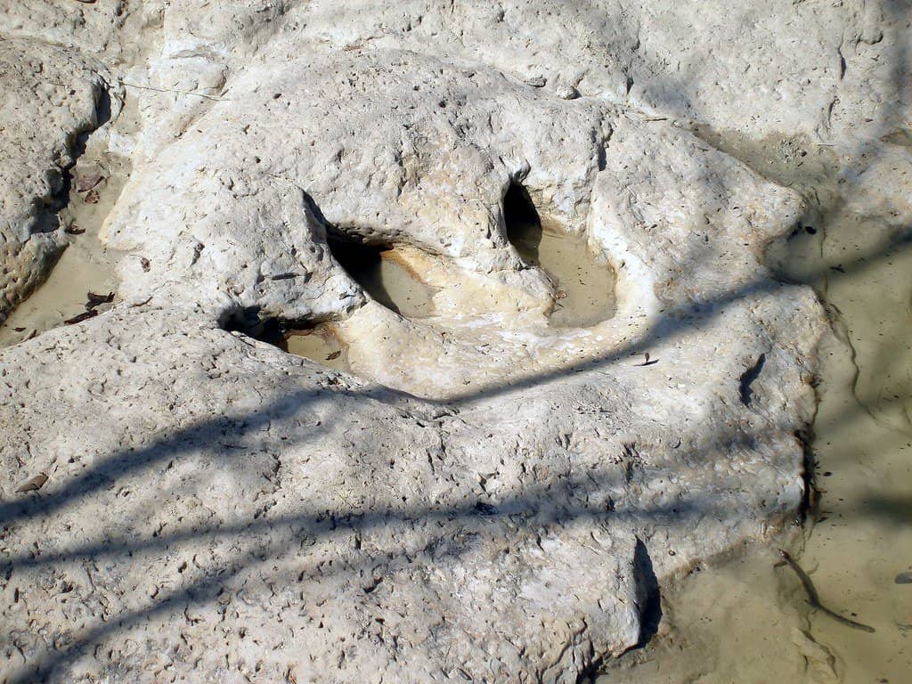 Ancient Dinosaur Footprints