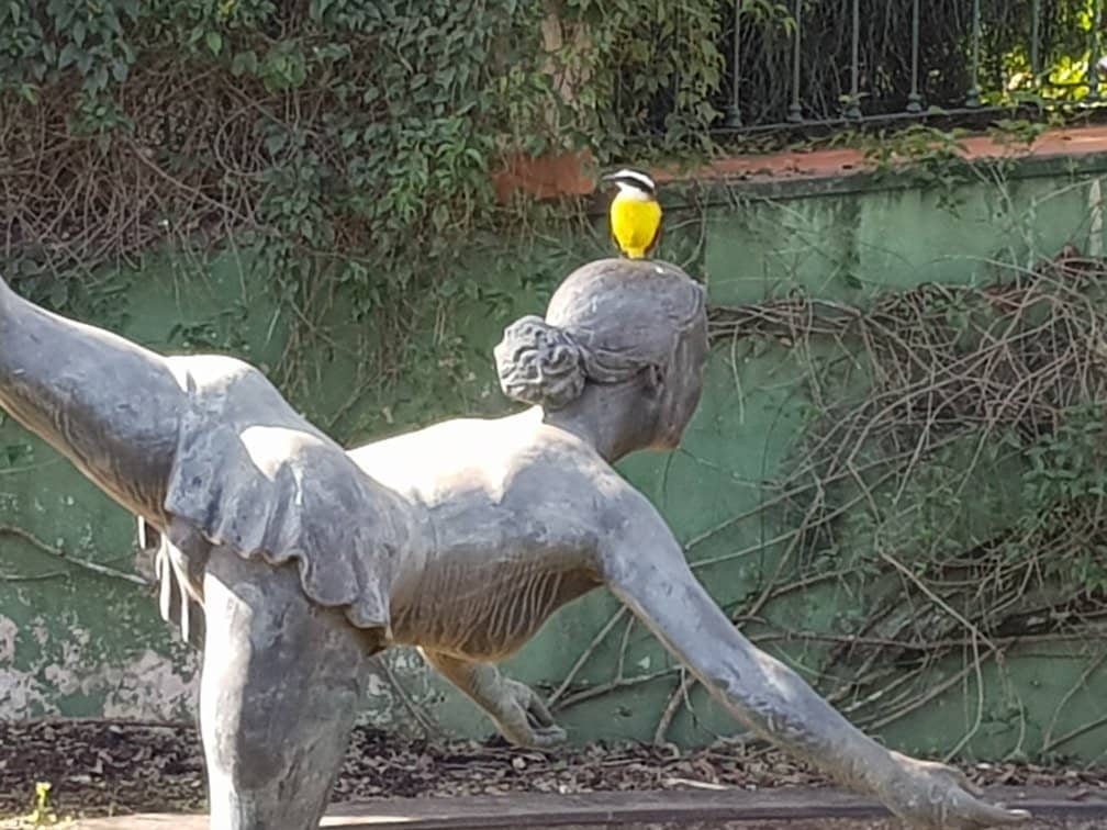 Outdoor Fitness Area