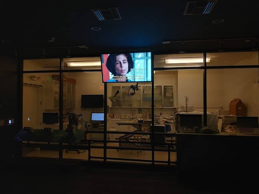 Live Raptor Encounters