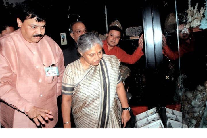 Vast Mineral and Gem Collection