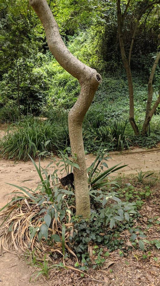 Tranquil Quarry Setting