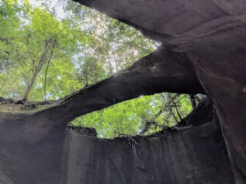 Vertical photo
